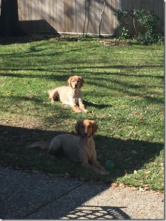 9237a857-8f82-4f93-8646-4beecb965791