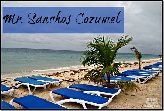Mr Sanchos