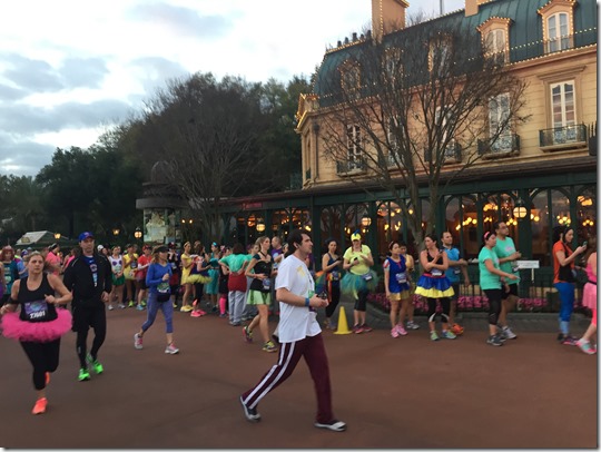 IMG_2424 (3) IMG_2424 (3)