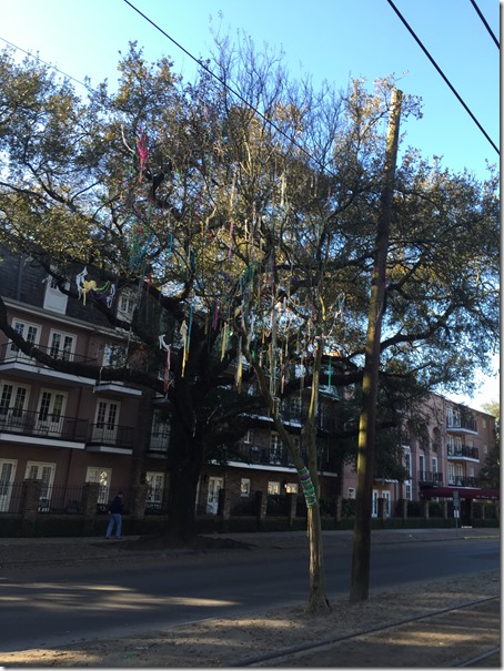 RnR mardi gras tree RnR mardi gras tree