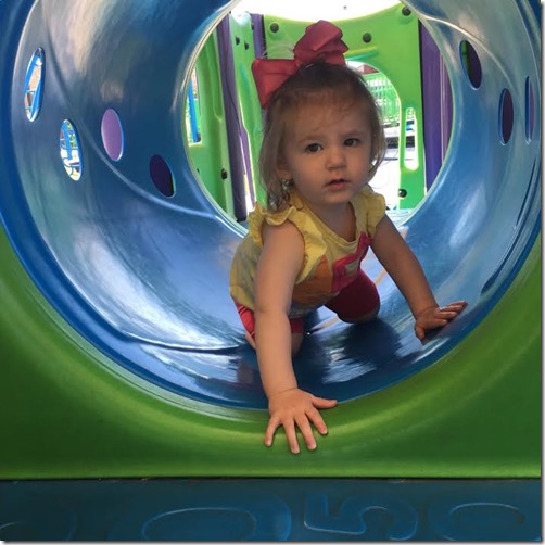 fd09366d-9628-4c3e-8619-56808fb17518