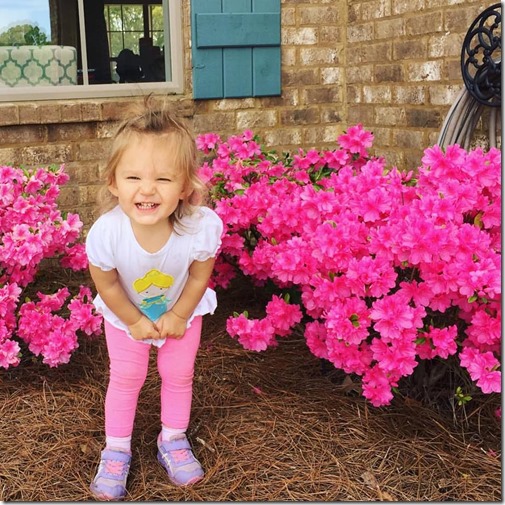 12936687_940813542662775_7111937413963672800_n