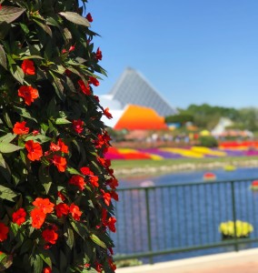 Adults Only Disney Trip