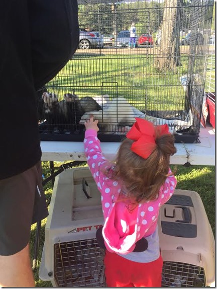 a23aca75-5d63-48ee-9bae-cb339fd887ad