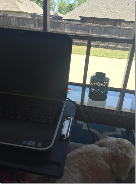 a723fd9f-7cb6-4fc8-a830-bfe682eae074