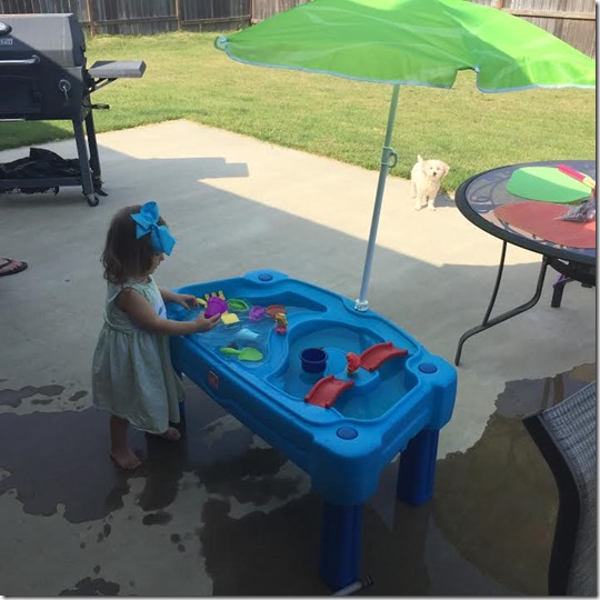 80e89cec-385d-4c74-a337-511b9916c40e