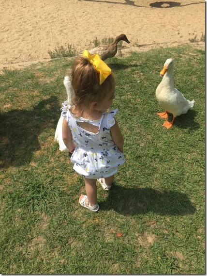 f351e720-df6d-4e9c-9f50-c2af2df82bea