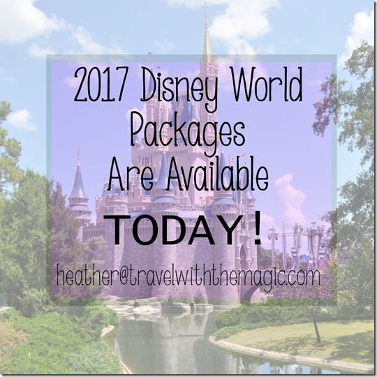 disney world packages for a family of 6