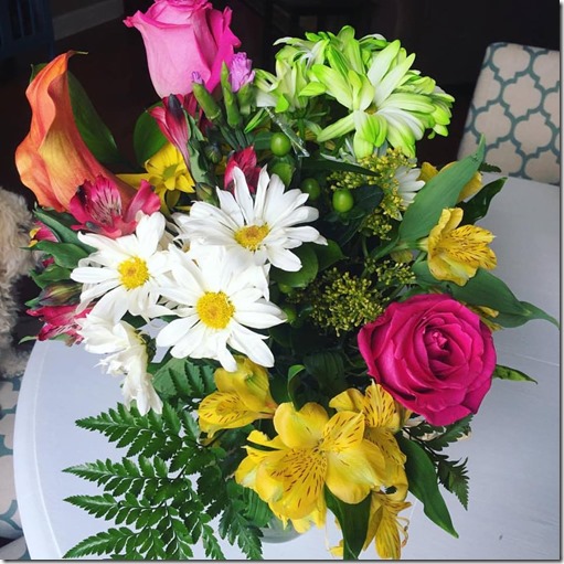 13710070_992569060820556_9131037106824538335_n