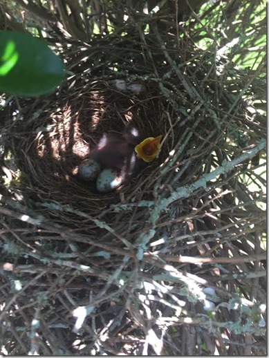 b6191e5c-6e6f-4d0e-adbd-f8df67d0a1b5