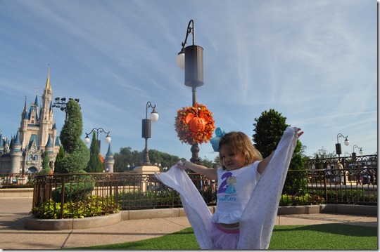 DSC_0060 DSC_0060
