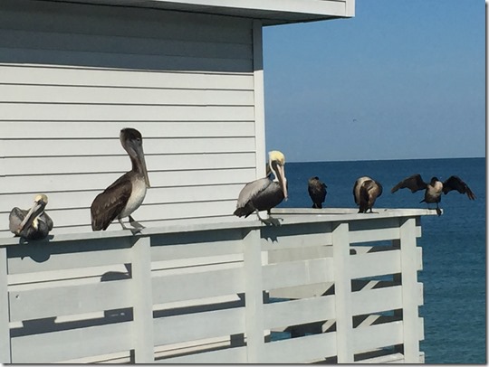 2016-12-23_10-15-18_911