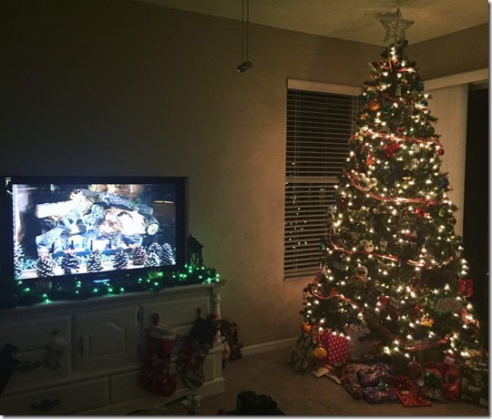 2016-12-24_21-20-34_030