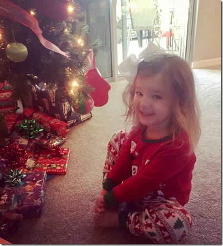 2016-12-25_08-04-38_337 (2016-12-26T00_47_18.301)