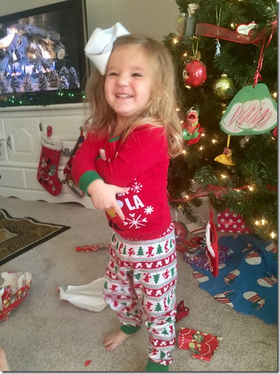 2016-12-25_08-28-41_514