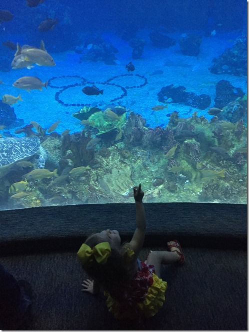 tKn2Lw0Equ8UPoG2iEHazM9HySsQfXhHr6wNY5VRzRIpX92IB