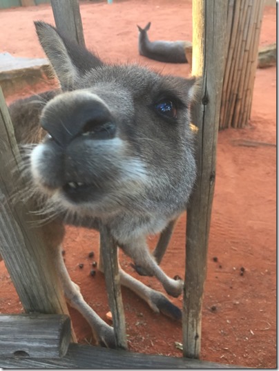 X4osugZWbOLyW-hFeufVHH1kPZNE_rfDvr4pw-Ym9-gpX92IB