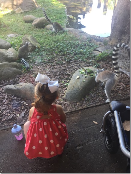 2017-04-01_10-36-24_102