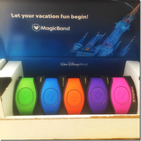 my disney experience