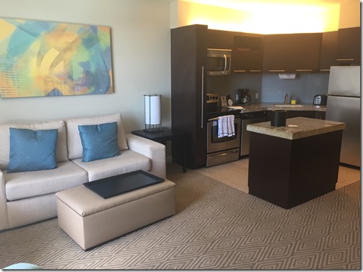 2017-04-21_13-16-48_108 - Copy