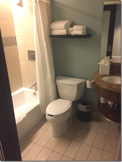 2017-04-21_13-17-58_273 - Copy