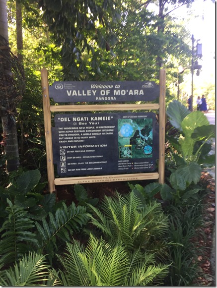 2017-05-08_09-43-38_027