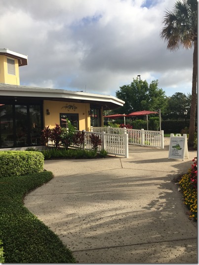 2017-05-29_08-31-17_888