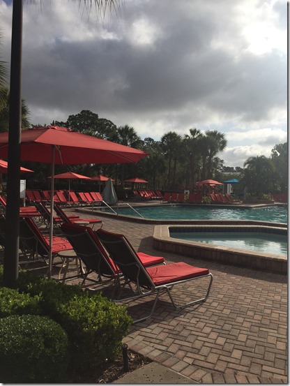 2017-05-29_08-31-29_237