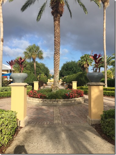 2017-05-29_08-31-33_973