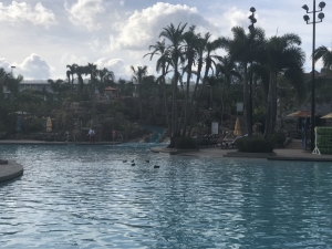 Loews Sapphire Falls Resort