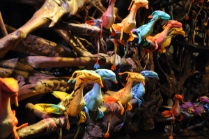 Tips for Disney's Pandora With A Preschooler