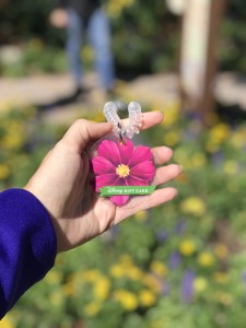 EPCOT International Flower and Garden Festival