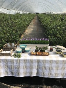 healthy blueberry protein smoothie