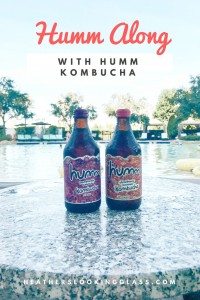 humm kombucha
