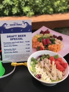 Tips for Disney's Blizzard Beach