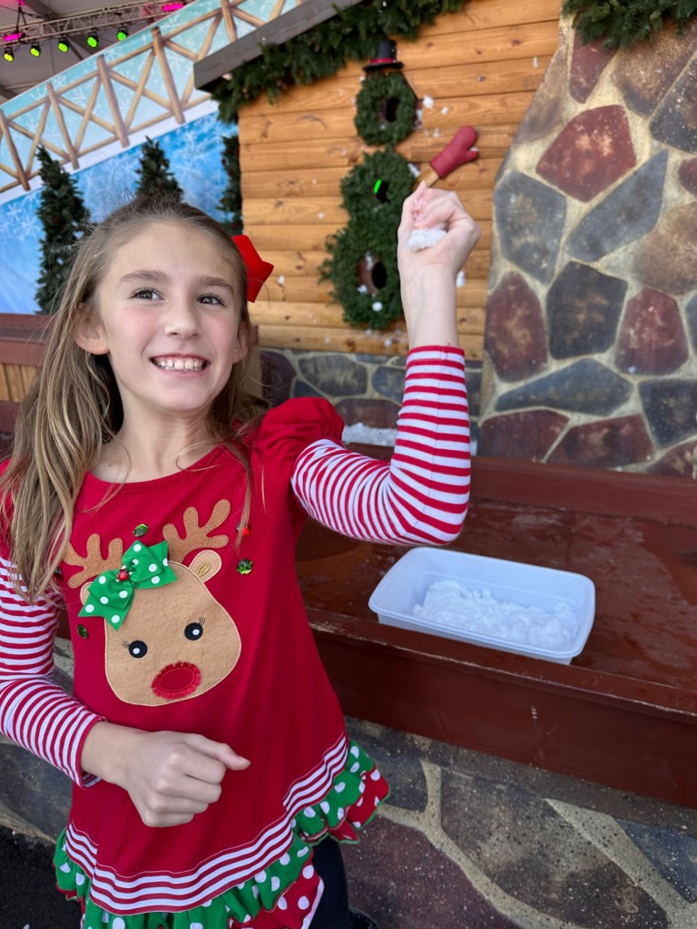 Gaylord opryland's a country christmas